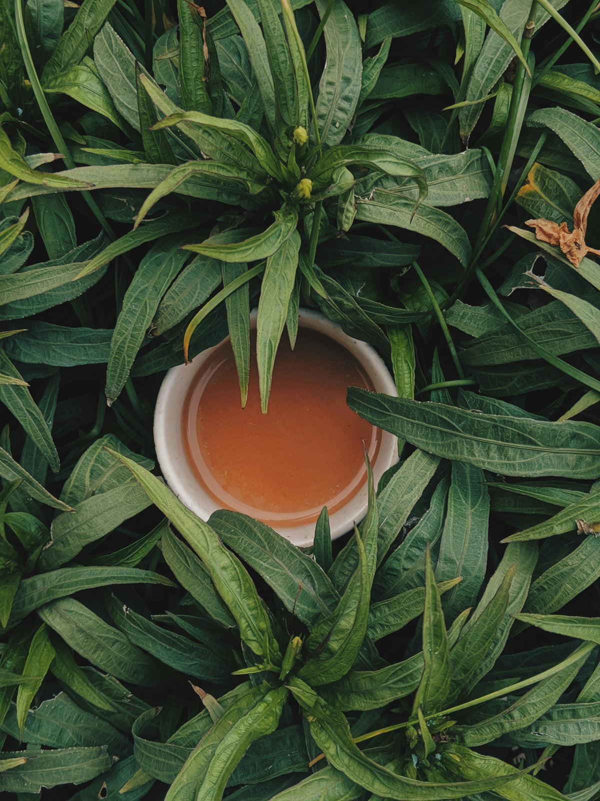 Sencha Cup — Céramique artisanale